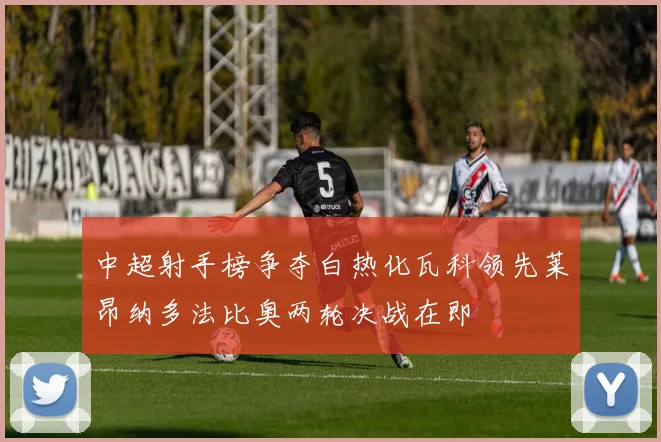 中超射手榜争夺白热化瓦科领先莱昂纳多法比奥两轮决战在即
