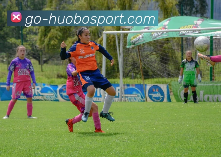 火博体育APP 封面图